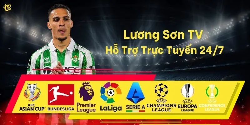 Lương Sơn Tv Hỗ Trợ Tuyến 24/7